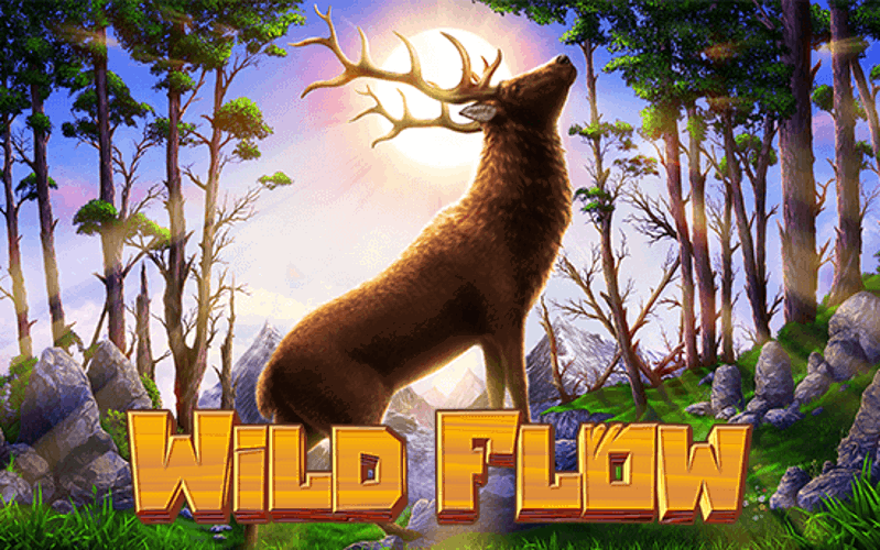Wild Flow Screenshot