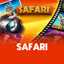 Safari