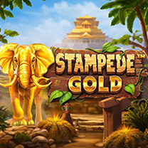 BetSoft Stampede Gold Game at WinzCasino