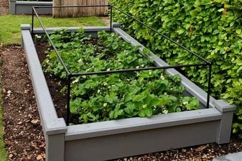 luckles cage 1 Screenshot